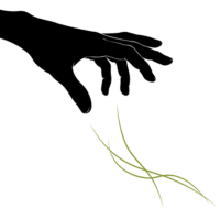 Der Teufel mit den drei goldenen Haaren - Premiere